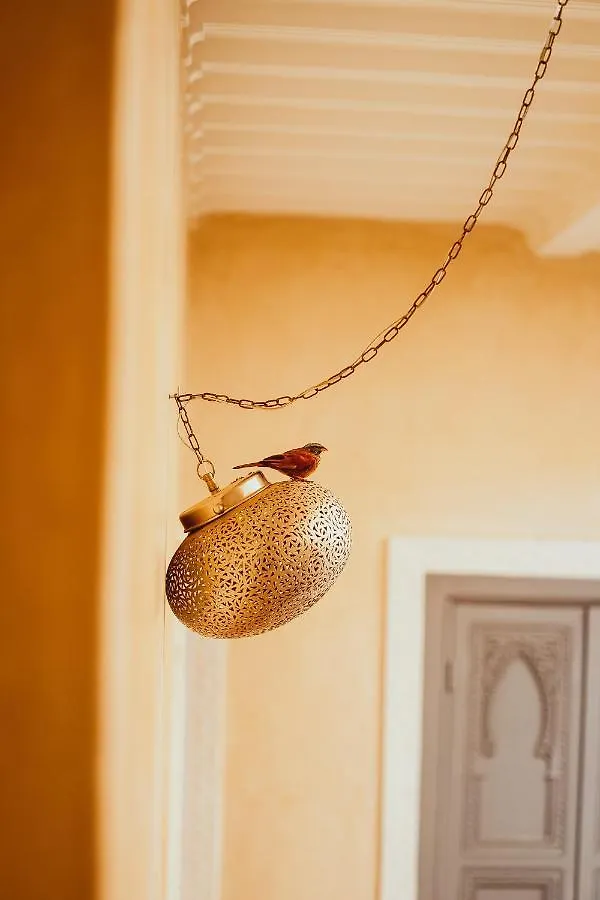 Riad De L'Ange Hotel Marrakesh Morocco