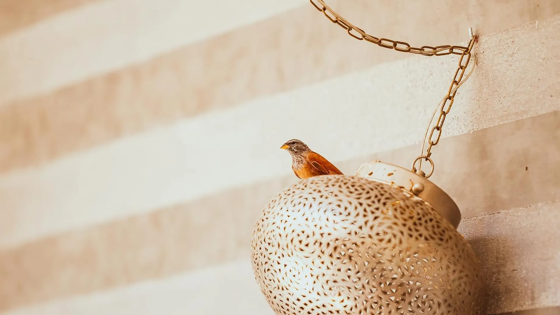 Riad De L'Ange Hotel Marrakesh 0*,  Morocco